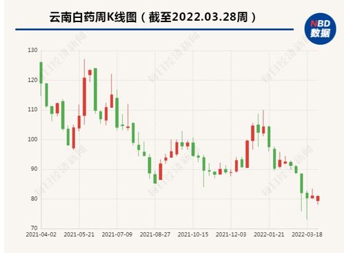 有20万资金如何炒股票