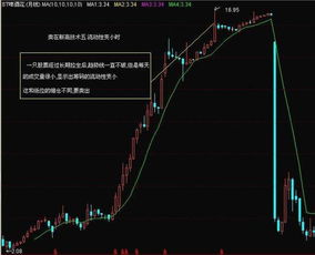 如何将股票卖出来