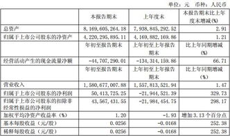 如何看股票的财务概况