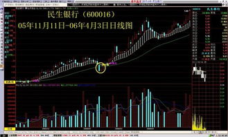 投资者如何预测股票走势