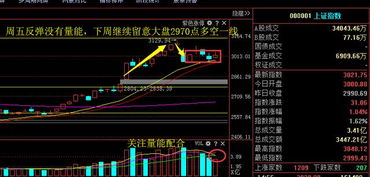 科创股票下周走势如何走