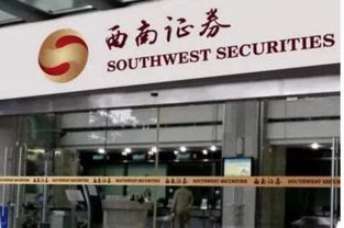 西南证券审计部门怎么样
