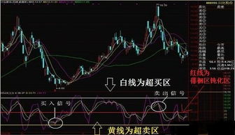 如何查找创新低的股票 如何查找创新低的股票