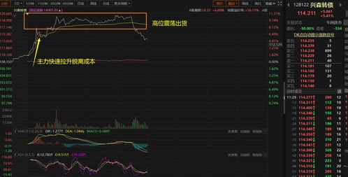 如何查未交款转债股票 如何查未交款转债股票