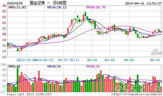 国金证券怎么看证券号