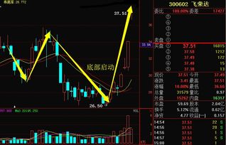 后期如何分析股票