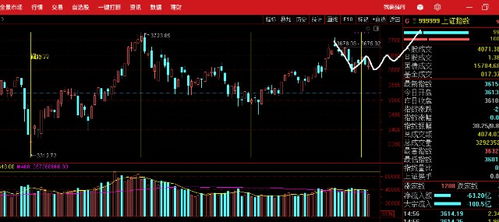财通证券筹码怎么样查询