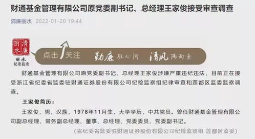财通证券筹码怎么样查询
