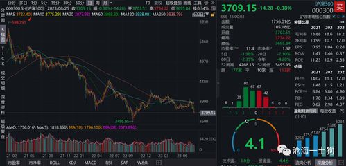 如何看股票市值大小