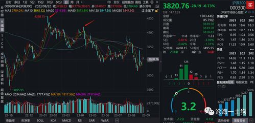 如何看股票市值大小