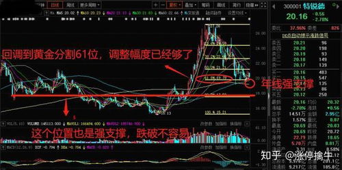大调整后如何挖掘股票