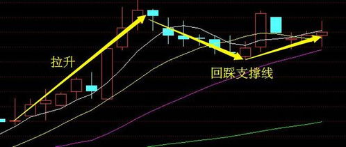 如何看股票和买股票