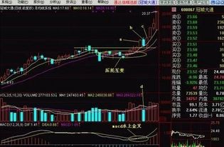 上海的股票如何