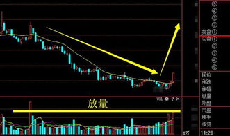 股票主力资金流入如何办 股票主力资金流入如何办