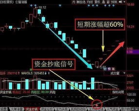 股票大盘熊市如何理财呢