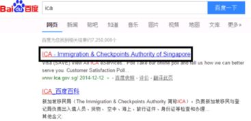 新加坡签证券怎么用