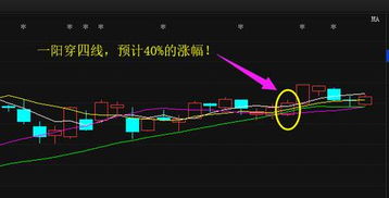 龙头 如何确定股票 龙头 如何确定股票