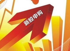 如何股票申购新股