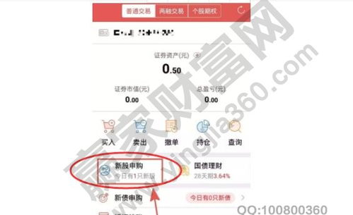 如何股票申购新股