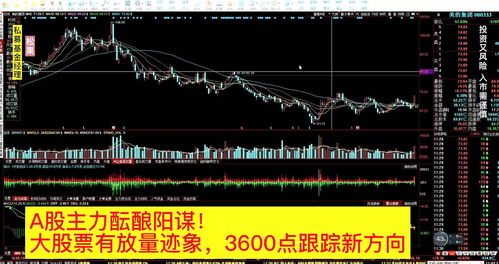 如何查股票主力持有量