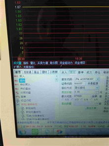 中投证券股东号怎么看