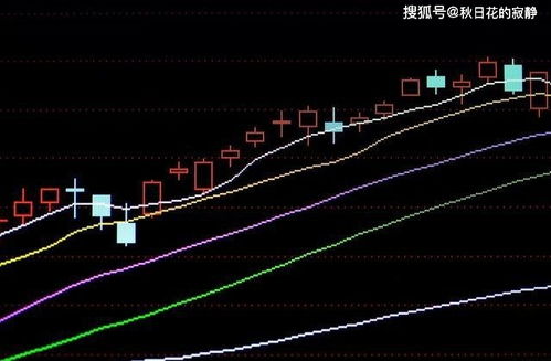 买股票如何管理股票分红