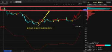 请问股票如何看筹码位置