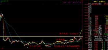 如何在中小板中选好股票
