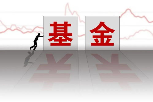 东兴证券新基金怎么样
