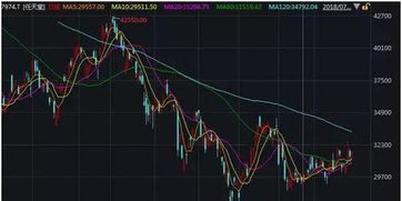 东京证券股票怎么买 东京证券股票怎么买