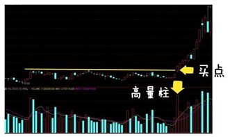 如何找到地球上的股票 如何找到地球上的股票