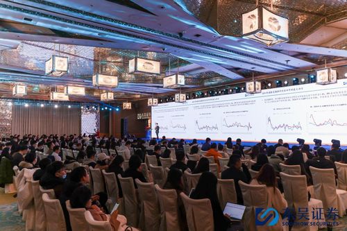上海东吴证券公司怎么样