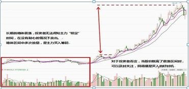 如何选主力介入股票