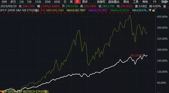基金如何选择低点的股票