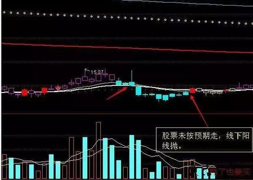 如何放进股票