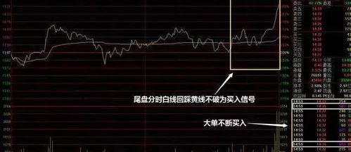 如何寻找分权股票