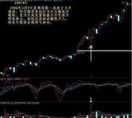 如何捕捉股票人气