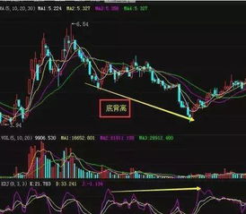 股票散户如何看待