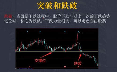 如何炒股票新手入门 如何炒股票新手入门