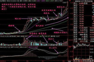 证券操盘手怎么做股票