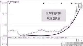 如何识别冷门股票