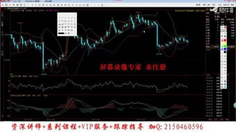 如何买新股票视频