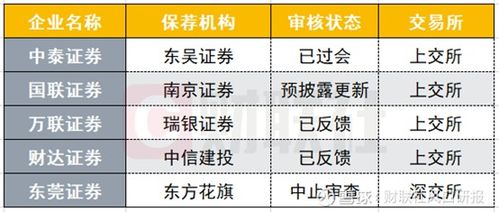 证券公司怎么申购