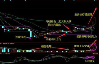如何分析当前股票的价格