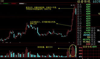 持有股票如何看盘口