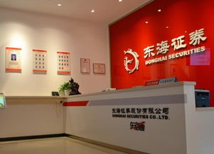重庆东海证券怎么样