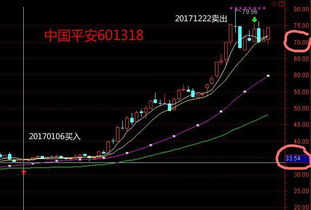如何用公司的股票做理财