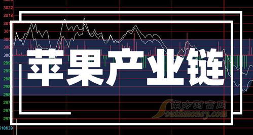 如何查询香港科创板股票