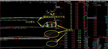 如何挑选教学股票