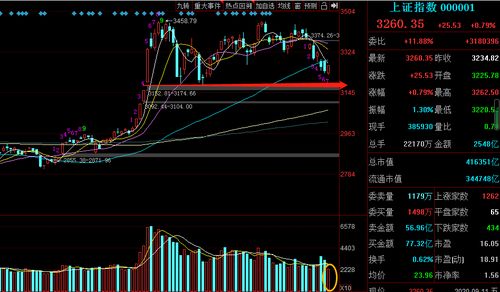 中信证券如何买股票 中信证券如何买股票